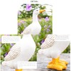 LALOCAPEYO 4 Pcs Duck Ornaments Simulation Absorbent Duck Ornaments Resin