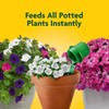 Miracle-Gro Pour & Feed Plant Food, Fertilizer Instantly Feeds Live