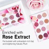 Physicians Formula Rosé All Play Eyeshadow Bouquet