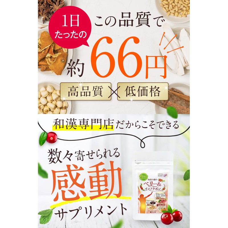 クランベリー 大豆イソフラボン30mg 60粒入り ぺポカボチャ マカ 田七人参 シーベリー 山芋 生姜 エクオール