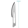 May Scalpel Blades Figure 24 Carbon Steel for Scalpel Holder
