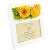 SSP09 Preserved Flowers Photo Frame, Parfait Campagne Gerbera Orange White,