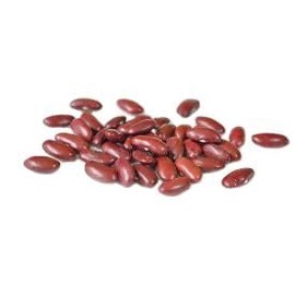 Bush Bean Red Kidney Bean Seeds
