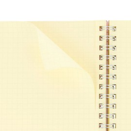 Delphonics Rolburn Memo with Pocket, Clear L (Clear)