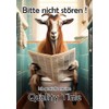 Blechschild Humor Aluminium 20x30cm - auf der Toilette mit Zeitung