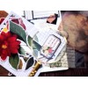 Unbranded floral flower botanical themed Decorative Stickers, 6pcs/pack Y06 Y06-L