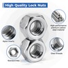 Wiewotsu 100 Pack 1/4"-20 Inch Lock Nuts, Premium Paterial Nylon