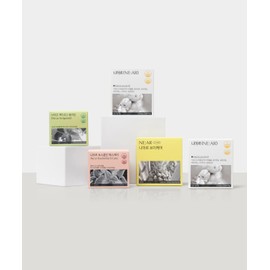 Niar 4-week Project SET