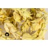 Greek Mountain Tea Organic (Sideritis Raeseri) Ironwort 1 OZ Herbal