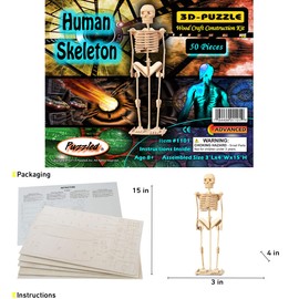 Puzzled 3D Puzzle Human Skeleton Wood Craft Construction Model Kit, Fun & Educational DIY Wooden Toy Assemble Model Unfinished Crafting Hobby Puzzle to Build & Paint for Decoration 50 Pieces Pack