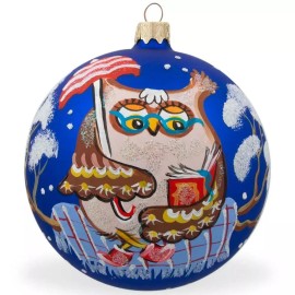 BESTPYSANKY Owl Reading Book- Bird Glass Ball Christmas Ornament 4 Inches