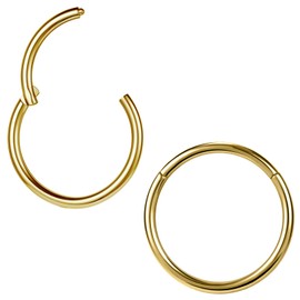 ZS Pack of 2 ASTM F136 Titanium 6/7/8/9/10/12/14 mm Cartilage Tragus Helix Earring Hoop 20G 18G 16G Lip Rings Nose Rings Septum Conch Piercings Jewellery, Titanium