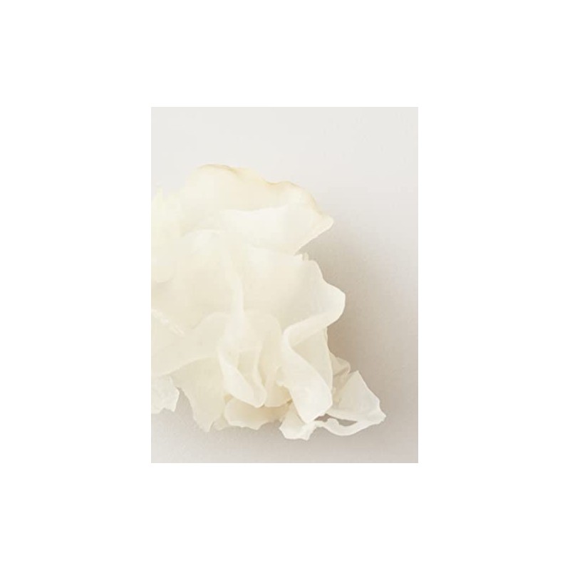 AG Care Nourish Snow - Mascarilla capilar con aceite de