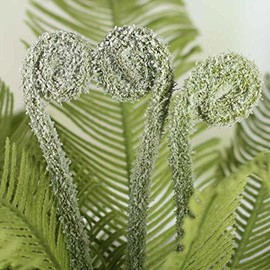 Factory Direct Craft Decorative Flocked Artificial Fern and Fiddlehead Bush for Decorating, Creating and Embellishing