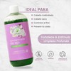 Shampoo Concentrado De Ajo Para El Crecimiento Capilar Productos Mart