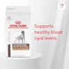 Royal Canin Gastro-Intestinal Low Fat (El empaque puede variar)