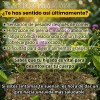 Té Vida natura Cardo Mariano, diente de león, boldo 150grs