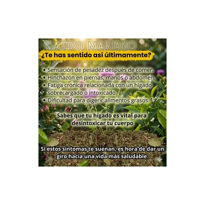 Té Vida natura Cardo Mariano, diente de león, boldo 150grs