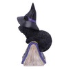 Nemesis Now Pocus Small Witches Familiar Black Cat and Spellbook