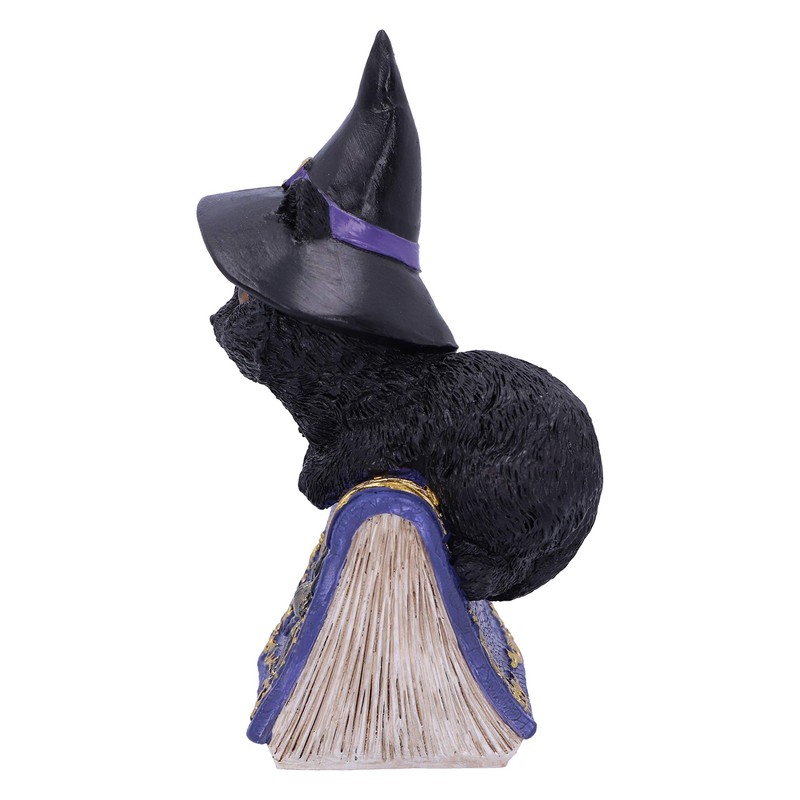 Nemesis Now Pocus Small Witches Familiar Black Cat and Spellbook