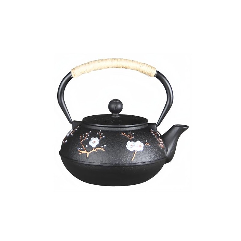 YJX 27oz Small Cast Iron Teapot for Stovetop, Japanese Tetsubin