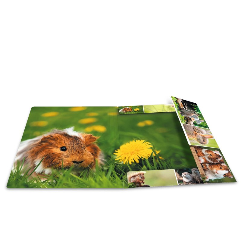 HERMA Portfolio Folder A4 Rodents, Children's Corner Folder Made of