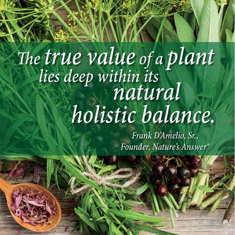 Nature's Answer Periobrite Natural Toothpaste, Cool Mint, 4 Ounce, 3