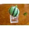 Sinada Nagio Strap Watermelon