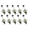CARALL Halogen Bulbs 24 V for Trucks (H4 24 V