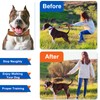 Supet Dog Training Collar for Small Medium Large Dogs with