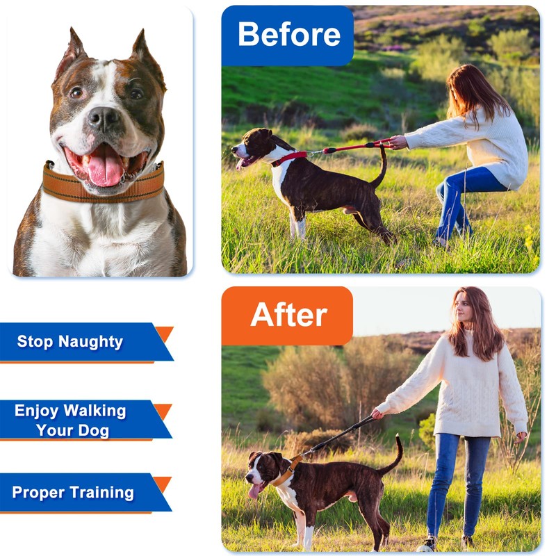 Supet Dog Training Collar for Small Medium Large Dogs with