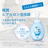 Hada Labo Gokujun Hyaluron Foaming Face Cleanser, Set of 2