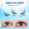 Hannie wish False Eyelashes, For Parts, No Glue, Long Lasting,