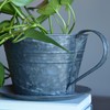 Rustic Tea Cup Planters, Set of 2, Shabby Grey, Zinc,