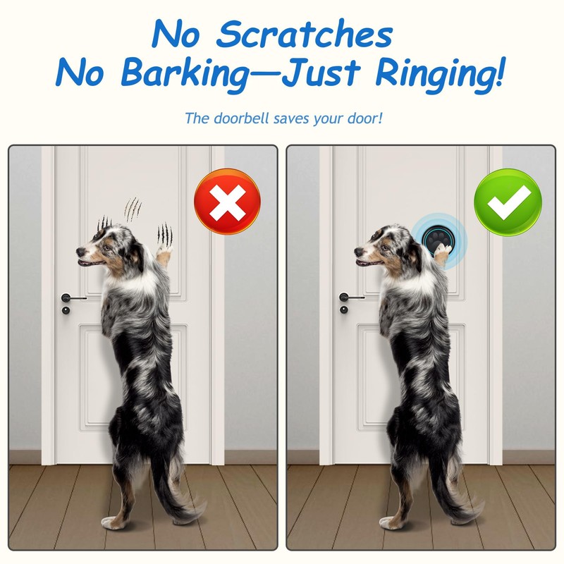 Soft Ring Blk Dog Bells to Go Outside - Wireless