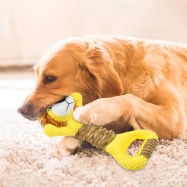 CooShou Cute Plush Lion Squeaky Toy for Dogs Tug of War Pull Interactive Play Dog Toy with Crinkle Paper for Puppy Small Middle Large Dog