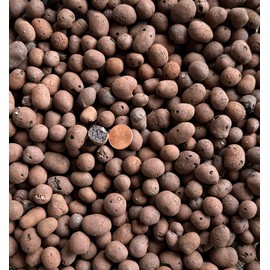 5 Liter Horticultural Ceramsite Clay Balls, Pebbles Growing Media for Hydroponic Aquaponic & Orchid - Large/Medium/Small (Medium Size)