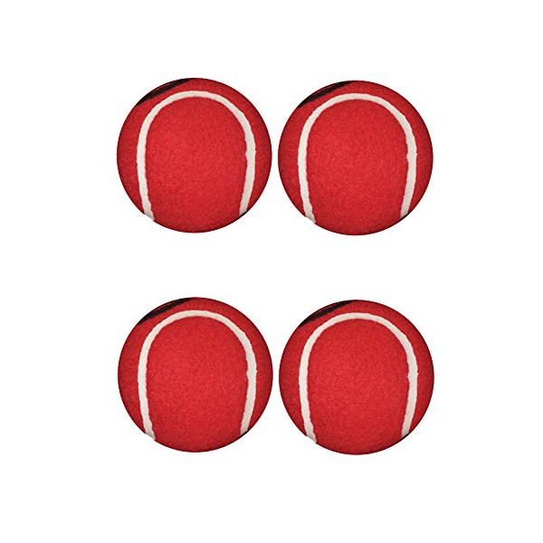 Penco Medical Walkerballs 2 Pack - The Original Walkerballs - 2 Pairs of Red
