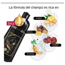 KFMX Shampoo Instantaneo Para Teñir Crecimiento Capilar Cabello