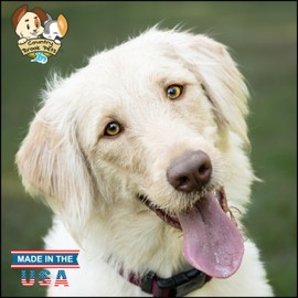 Country Brook Petz - American-Made Dog Collar for Large, Medium, and Small Dogs and Puppies - Deluxe Heavy Duty Nylon in 33 Dazzling Colors (Extra Large, 1 Inch Wide, Burgundy)