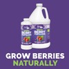 Bloom City's Organic Berry Best - Blueberry & Strawberry Fertilizer