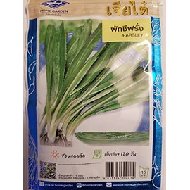Thai Cilantro Parsley Seeds