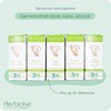 Organic Bud Macerate | Alcohol Free | Gemmotherapy | 30
