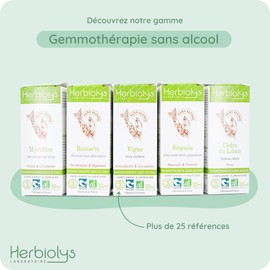 Organic Bud Macerate | Alcohol Free | Gemmotherapy | 30 ml Bottle | Herbiolys (Fig Tree)