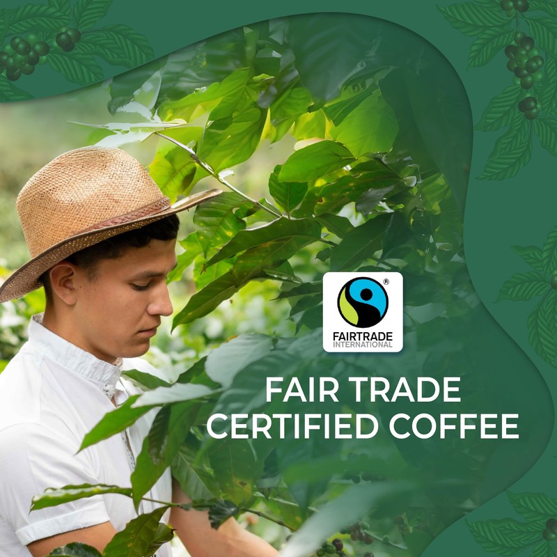 Specialty Coffee from Costa Rica I Medium Roast Ground I