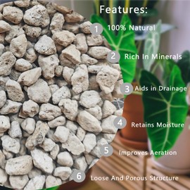 Rurtsva Piedra Pómez Hortícola para Plantas 2QT, Piedras Pómez Naturales Orgánicas para Mezcla de Maceta de Cactus, Bonsái, Orquídea, Mejora la Aireación y Drenaje del Suelo, Promueve el Enraizamiento