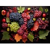 CALVENDO Puzzle Grapes - Vegan Diet | 1000 Pieces Size