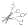 Professional Hair Cutting Thinning Scissors Family Salon Barber Shears Hairdressing