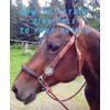 side pull hackamore bitless bridle attachment with nose knots horse