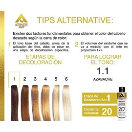 Tinte en Crema Profesional para Cabello Mujer, Tinte Hair Solution Gold con Oxidante en Crema de 90g y Oxidante de 90ml, Tinte para Cabello Mujer...  
